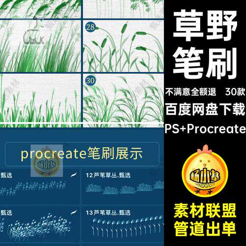 芦苇笔刷PS Procreate植物浦丛剪影草野后期素材ps