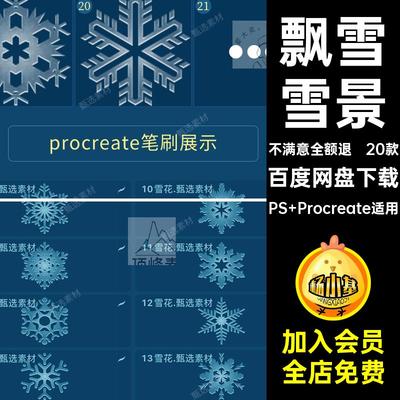 飘雪雪景冰霜节日圣诞冰晶ps绘画雪花下雪笔刷procreate冬天20款