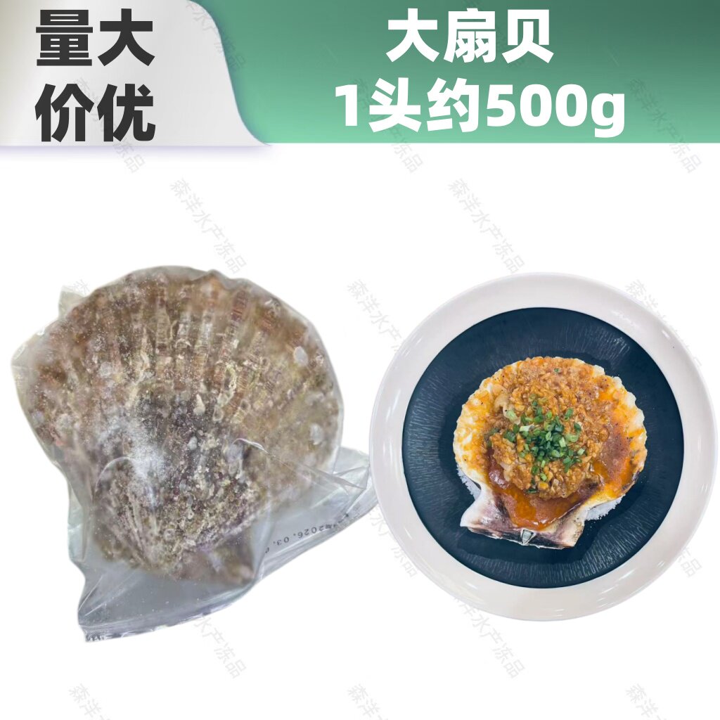 大扇贝冷冻带壳野生大号蒜蓉粉丝