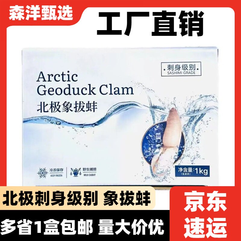 北极象拔蚌刺身象拔蚌解冻即食