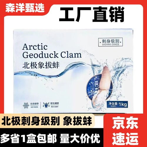 北极象拔蚌刺身象拔蚌解冻即食