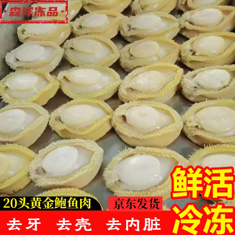 黄金鲍鱼肉鲜活冷冻盐磨佛跳墙