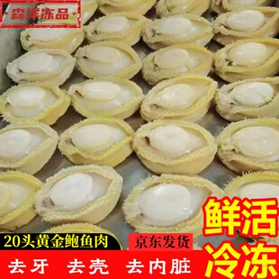 20头黄金鲍鱼肉鲜活冷冻盐磨佛跳墙海鲜商用大鲍鱼去壳酒店食材