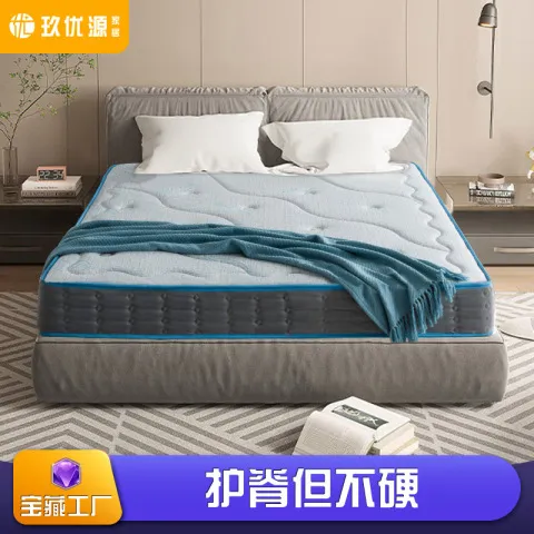 软硬护脊床垫1.8m席梦思芙静音适中独立弹簧乳胶3E家用棕艾丽棕垫