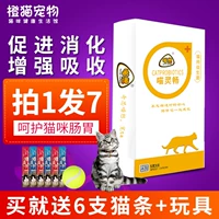 喵 mèo men vi sinh 喵 Mèo Ling Chang loại B thành mèo phổ biến vật nuôi mèo tiêu hóa điều hòa - Cat / Dog Health bổ sung sữa cho chó mèo