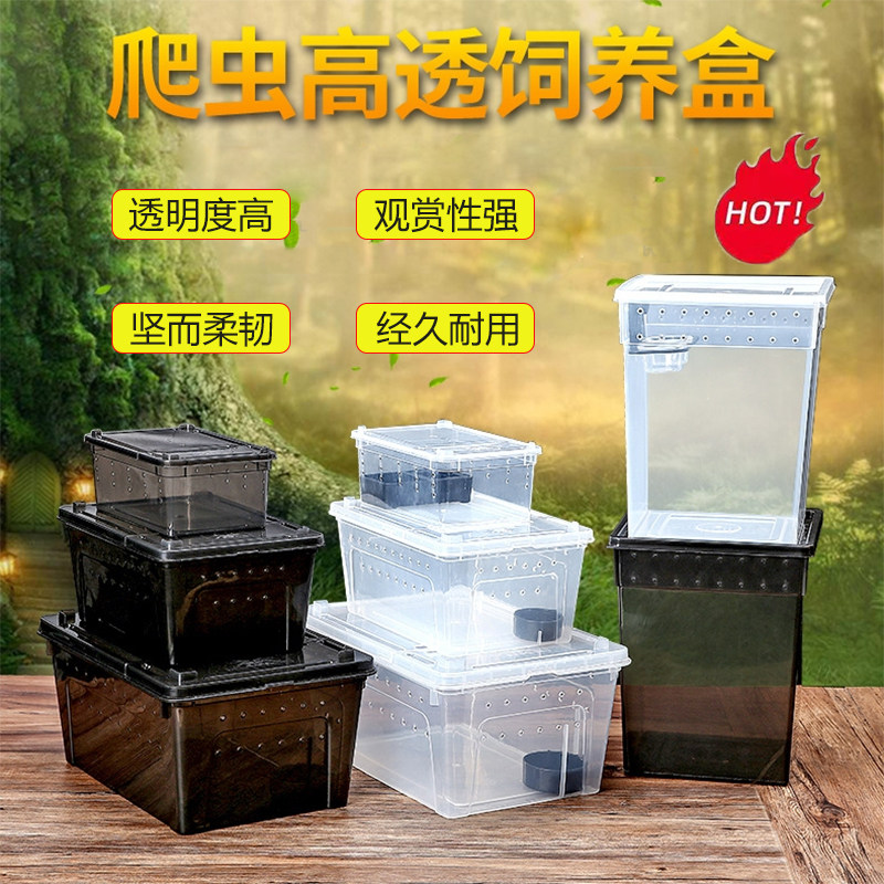 爬宠白玉蜗牛角蛙蜘蛛螳螂寄居蟹乌龟虫特大中小迷你高透型饲养盒
