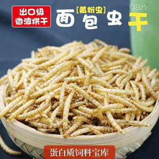 蛋白虫大面包虫黄粉虫干鸟用人仓鼠鸭子鸡吃的虫子喂鸡喂蝎子钓鱼