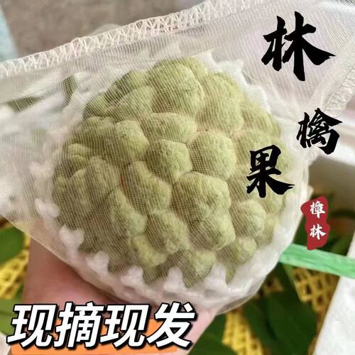 正宗樟林林檎果番荔枝大目释迦果