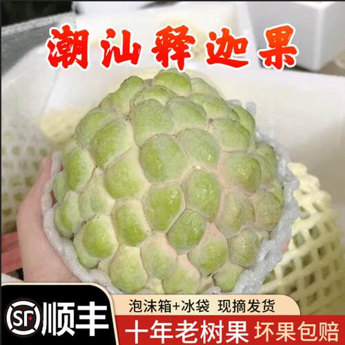 正宗樟林林檎果大目释迦果佛头果