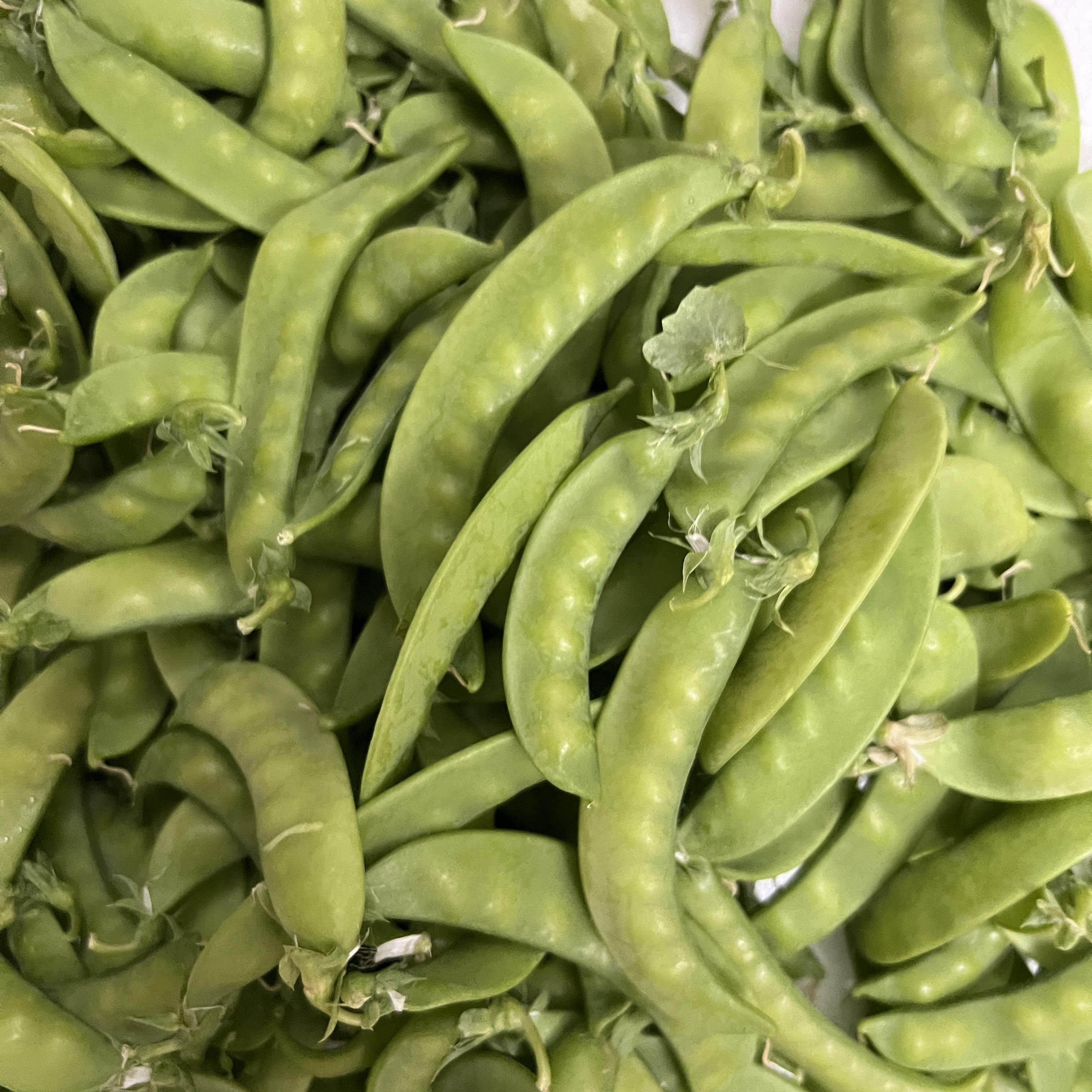 广西新鲜荷兰豆现摘甜脆青豆小豌豆农家新鲜蔬菜当季特产1/3/5斤,水产肉类/新鲜蔬果/熟食,新鲜豆类,淘宝优惠券,粉丝福利购,淘宝优惠卷