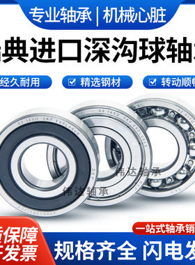 SKF进口高速轴承6000 6001 6002 6003 6004 6005 6006 2RS1 2ZC3