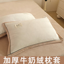 牛奶绒枕套一对装 珊瑚绒枕巾单人枕头48x74cm单个枕芯套加厚 秋季