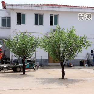 仿真青枫树大型假树红枫树定制工厂酒店橱窗装饰
