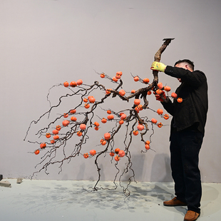 倒挂柿子树仿真悬挂柿子壁挂树枝大型吊挂龙枣造型树玄关造景酒店