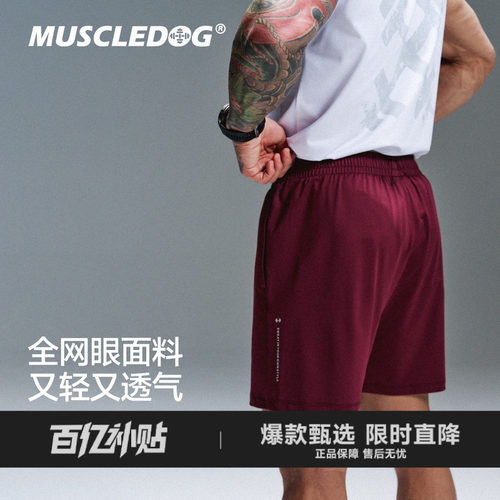 肌肉狗夏季新款网眼速干运动短裤