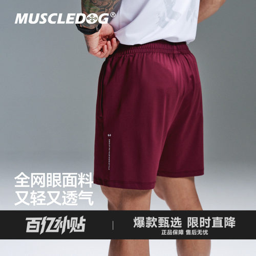 肌肉狗夏季新款网眼速干运动短裤