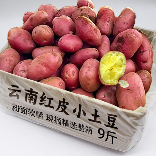 云南红皮黄心云南红皮黄心土豆新鲜小土豆农家蔬菜洋芋自种包邮发