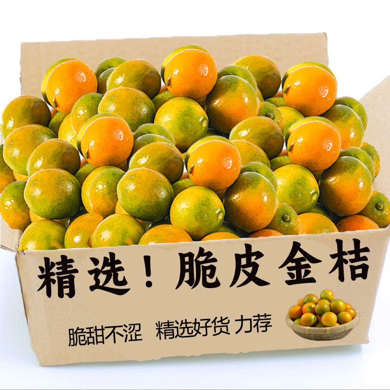 正宗广西脆皮小金桔新鲜桔子应当季现摘水果蜜金柑桔纯甜孕妇整箱