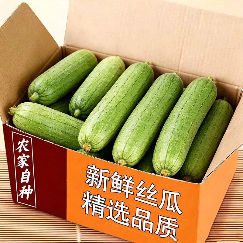新鲜当季丝瓜农家自种精选整箱产地直发当季长条丝瓜蔬菜新鲜包邮