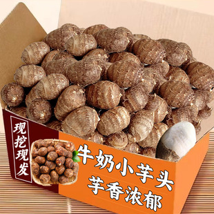 小芋头新鲜现挖5斤小毛芋头芋艿现挖新鲜农家自种小毛芋新鲜包邮1