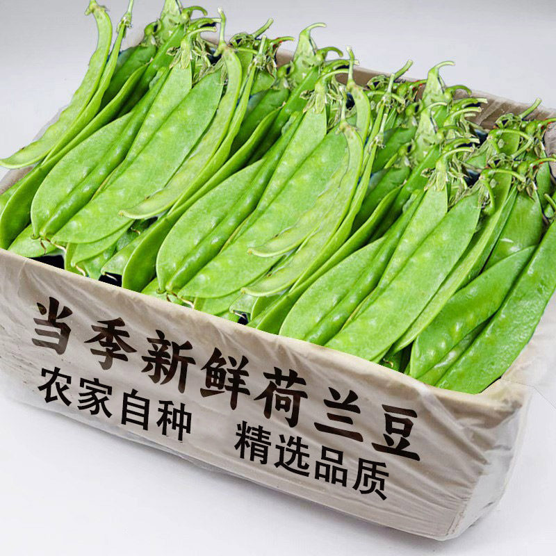 荷兰豆当季新鲜现摘荷兰豆农家自种甜脆扁豆现摘精选整箱产地直发