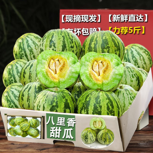 现摘八里香甜瓜7颗装！精选品质