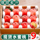 新鲜水蜜桃5斤桃子水果应当季 整箱软时令油脆甜桃软毛密桃 包邮