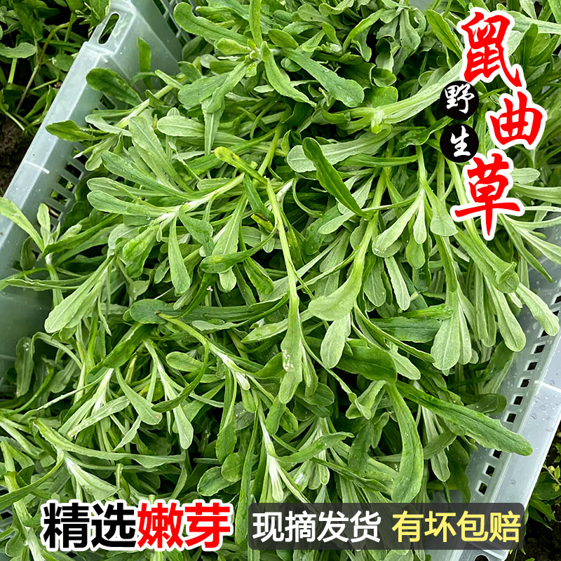 ڲ250g ժҰ49.7Ԫ