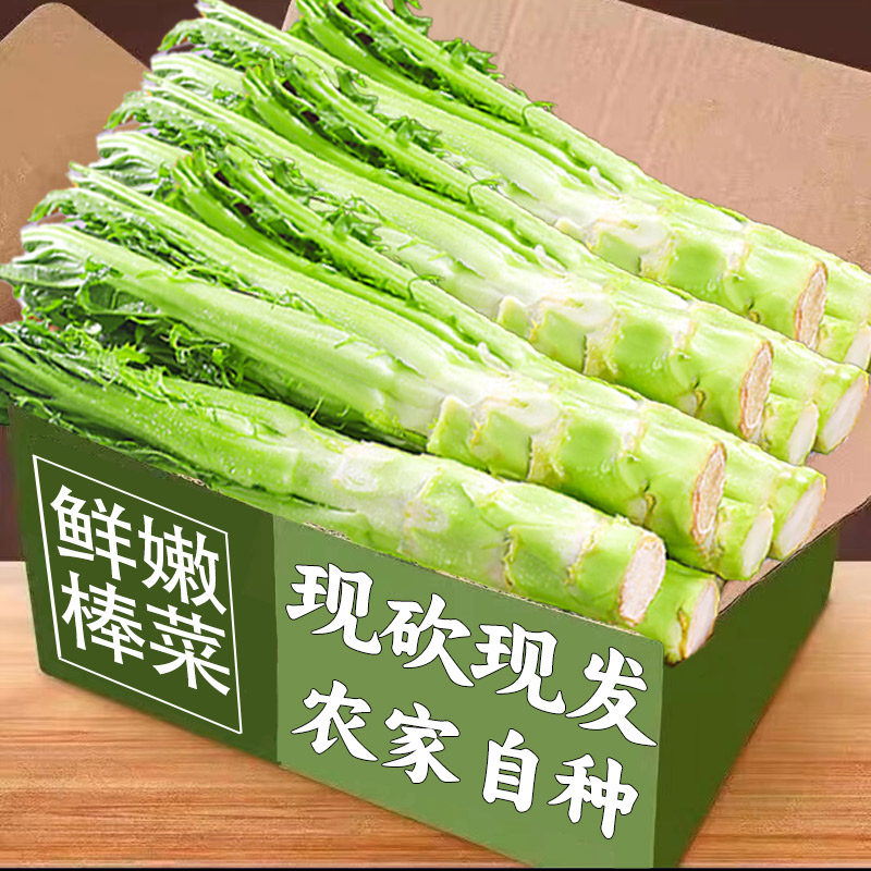 四川特产棒棒菜新鲜蔬菜青菜头莴笋青菜脑壳芥菜苔菜笋时令蔬菜