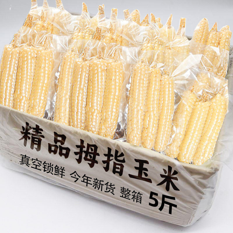 1�� ��հ�װ 2025��������Ĵָ����5��װ��ֵ