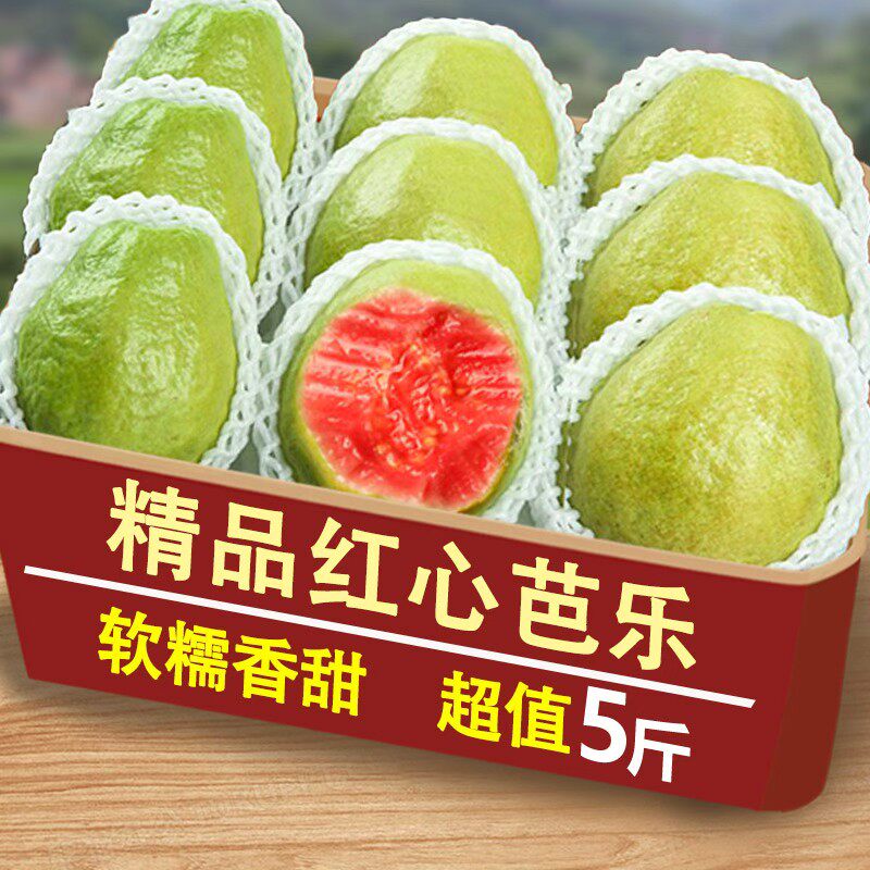 正宗广西新鲜软糯红心芭乐装新鲜水果番石榴当季胭脂红软糯甜包邮