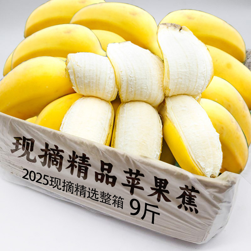 正宗苹果蕉香蕉9斤新鲜banana苹果粉蕉自然熟当季小米芭蕉香焦10