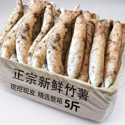 新鲜竹薯现挖冬粉芋根茎薯力荐5斤当季竹芋京东薯清甜粉嫩煲汤包1