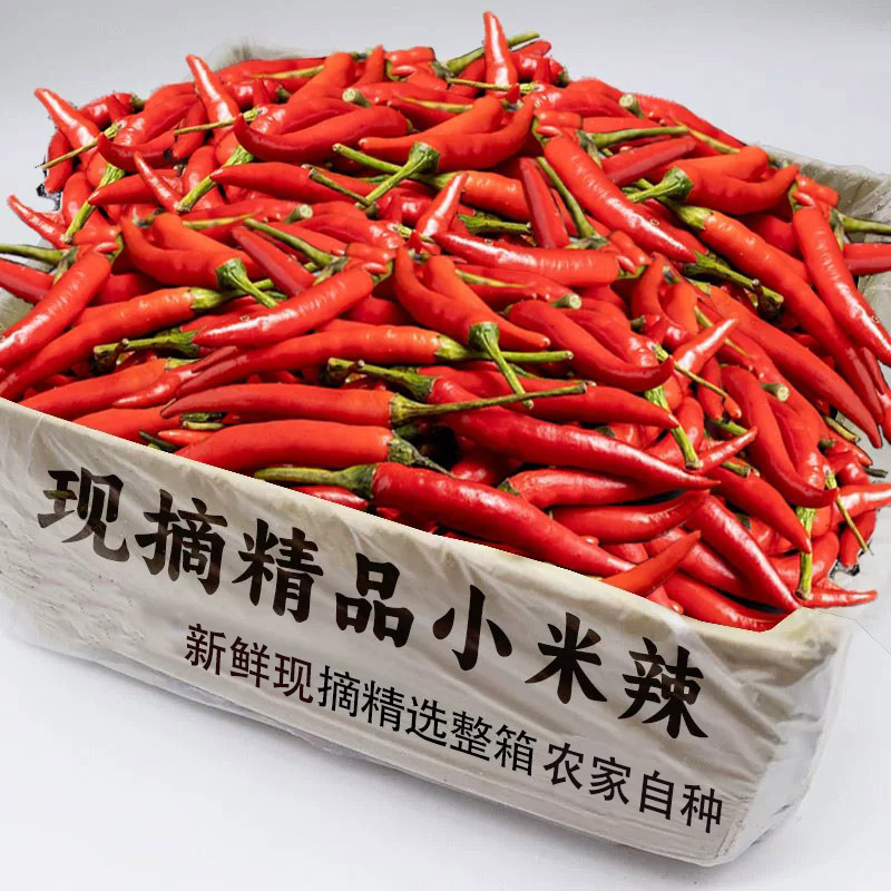 精品特辣小米椒2斤装!老农精选