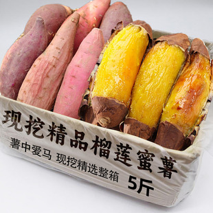 正宗榴莲蜜薯新鲜现挖红薯地瓜糖心流油番薯超甜软糯香甜蜜薯包邮