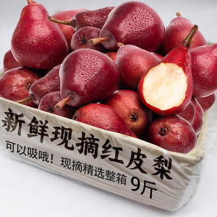 红啤梨5斤新鲜当季彩虹香软糯红宝石梨红皮梨子太婆梨水果包邮10