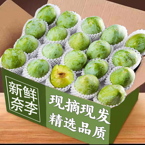 广西青奈李脆甜水果当季现摘包邮