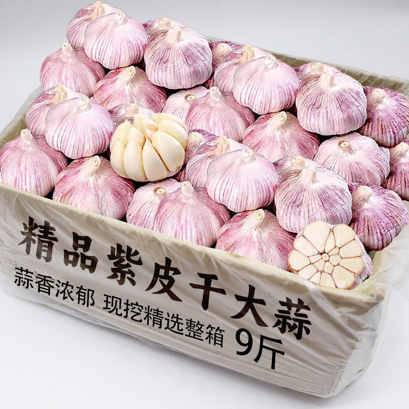 2025新干蒜头力荐9斤大蒜包邮