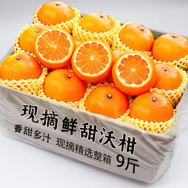 2025现摘武鸣沃柑9斤橘子新鲜水果当季一级沙糖蜜橘砂糖柑5橘大果,水产肉类/新鲜蔬果/熟食,桔子,淘宝优惠券,粉丝福利购,淘宝优惠卷
