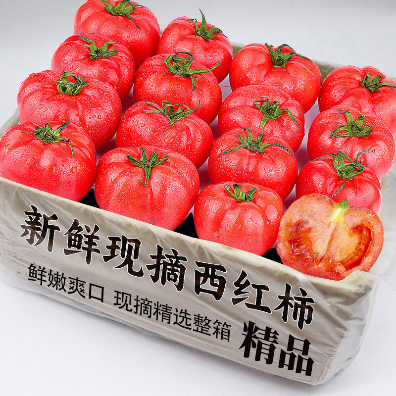 沙瓤西红柿3斤装，老农精选！