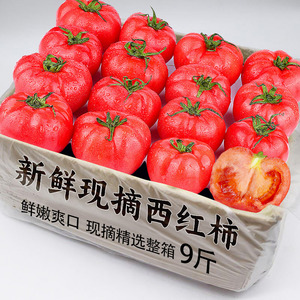 沙瓤西红柿12-18颗，老农精选！