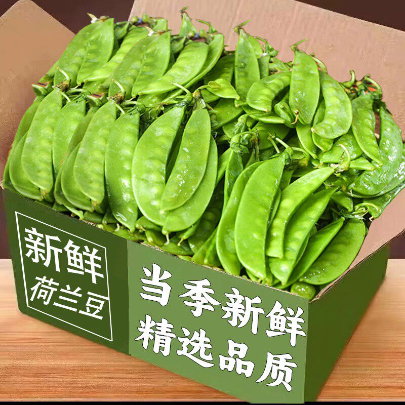 现摘荷兰豆当季新鲜荷兰豆农家自种甜脆扁豆现摘精选整箱产地直发