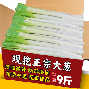 山东大葱9斤新鲜正宗甜脆铁杆
