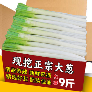 山东章丘大葱新鲜特级9斤正宗甜脆铁杆大葱特产蔬菜5斤鲜香红葱头