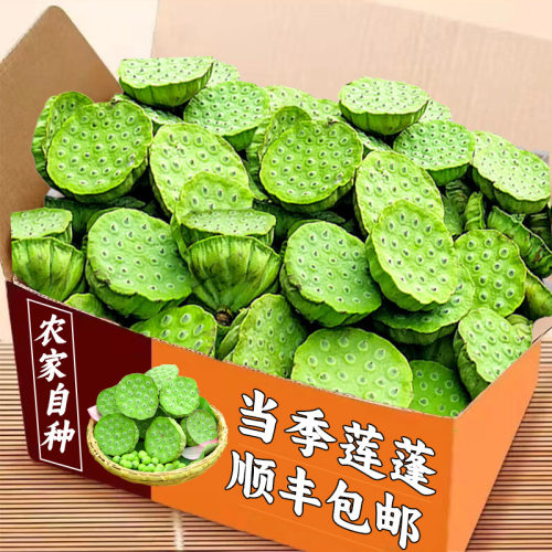 顺丰可选新鲜莲蓬现摘莲蓬甜嫩生吃莲蓬孕妇水果即食莲子新鲜包邮