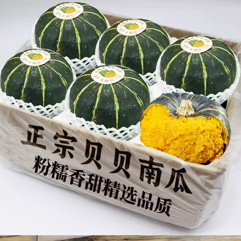 新鲜正宗贝贝南瓜板栗口感贝贝小南瓜栗面老瓜孕妇婴儿辅食包邮发