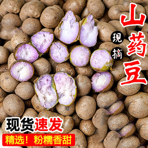 山豆新鲜铁棍山药豆5斤当季现摘农家铁杆小山药现摘蔬菜整箱9包邮