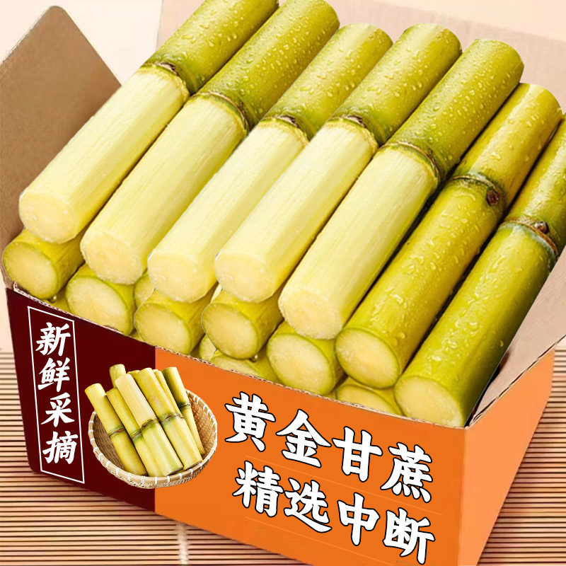 2025新鲜黄皮甘蔗当季新鲜脆甜黄皮甘蔗农家自种甘蔗整箱水果多汁