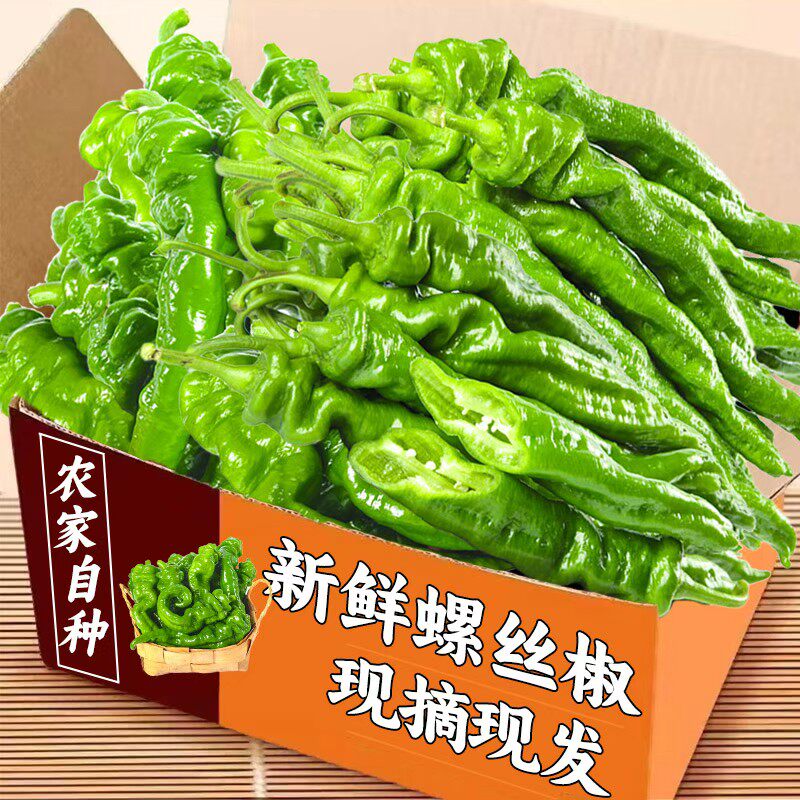 新鲜螺丝椒农家自种精选整箱辣味浓郁特螺丝椒大辣椒现摘新鲜包邮