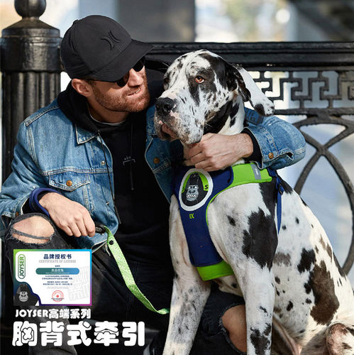 项圈胸背牵引绳柔软结实宠物狗
